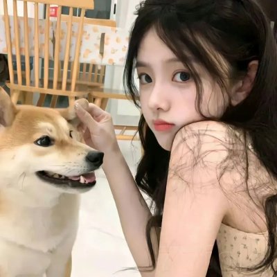 聪明的鸭子